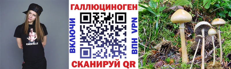 Псилоцибиновые грибы Magic Shrooms  Лысково 